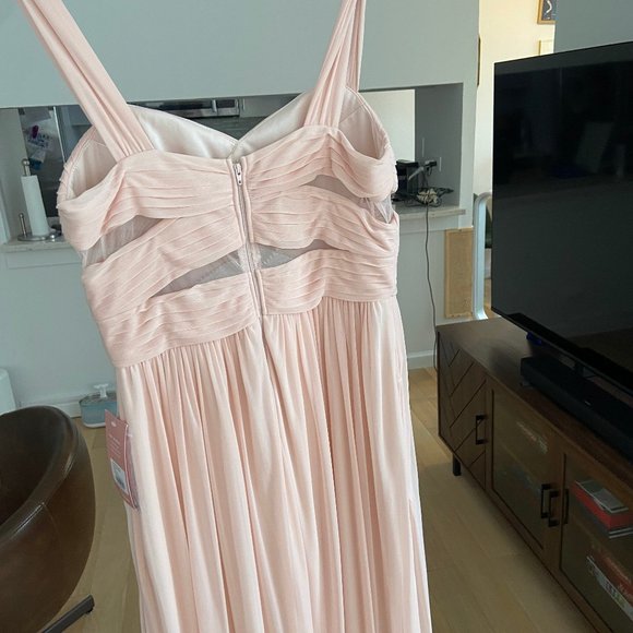 Birdy Grey Elsye Dress Mesh Pale Blush - Picture 4 of 4